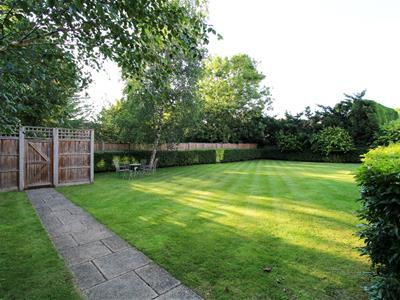 Picture 21